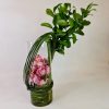Arranjo Orquídeas Cymbidium Rosa- Elegância Contemporânea - Image 3