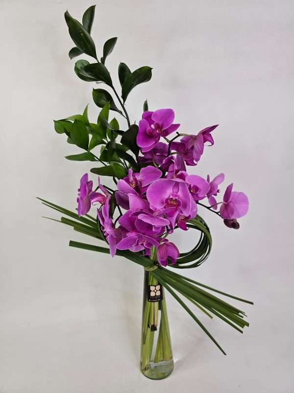 orquídeas Pink vaso de vidro e folhagem